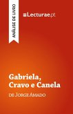Gabriela, Cravo e Canela - Jorge Amado (análise de livro)