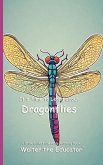 It's Time to Learn about Dragonflies
