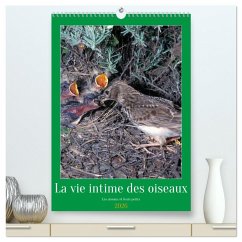 La vie intime des oiseaux Les oiseaux et leurs petits (Calendrier mural 2026 DIN A2 horizontal) calendrier de bureau La vie intime des oiseaux Les oiseaux et leurs petits (Calendrier mural 2026 DIN A2 horizontal) calendrier de bureau