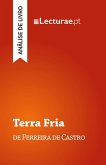 Terra Fria - Ferreira de Castro (análise de livro)