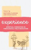 Experience (eBook, PDF)