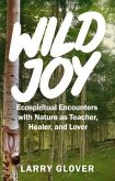 Wild Joy (eBook, ePUB)