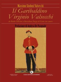 Cover Il Garibaldino Virginio Valsecchi (eBook, ePUB)