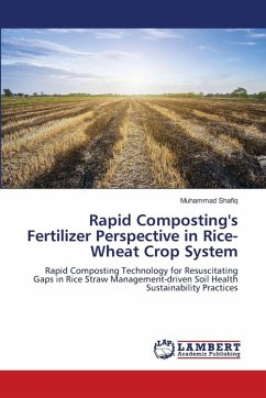 Cover Rapid Composting's Fertilizer Perspective in Rice-Wheat Crop System