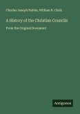 A History of the Christian Councils