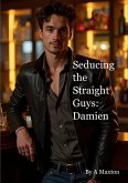 Seducing the Straight Guys: Damien (eBook, ePUB) Seducing the Straight Guys: Damien (eBook, ePUB)