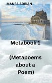 Metabook 1 (Metapoems about a Poem) (eBook, ePUB) Metabook 1 (Metapoems about a Poem) (eBook, ePUB)
