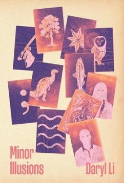 Cover Minor Illusions (eBook, ePUB)