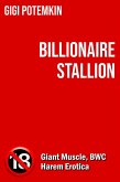 Billionaire Stallion (Adult books by Gigi Potemkin, #5) (eBook, ePUB)