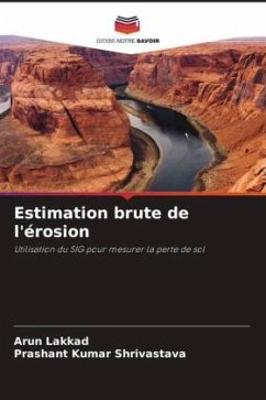 Cover Estimation brute de l'érosion