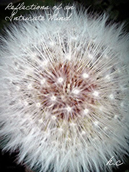 Reflections of an Intricate Mind (eBook, ePUB) Reflections of an Intricate Mind (eBook, ePUB)