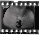 The 3rd And The Mortal (Mc)