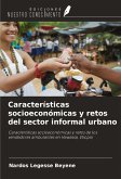 Características socioeconómicas y retos del sector informal urbano