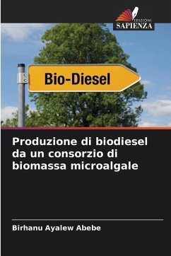 Cover Produzione di biodiesel da un consorzio di biomassa microalgale