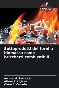 Cover Sottoprodotti dei forni a biomassa come bricchetti combustibili
