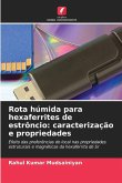 Rota húmida para hexaferrites de estrôncio: caracterização e propriedades Rota húmida para hexaferrites de estrôncio: caracterização e propriedades