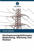Hochspannungsleitungen: Bedeutung, Wartung und Risiken Hochspannungsleitungen: Bedeutung, Wartung und Risiken