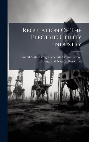 Regulation Of The Electric Utility Industry
