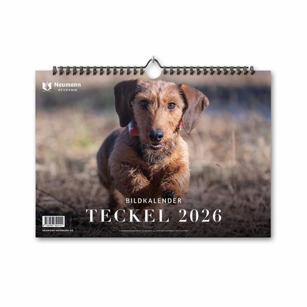 Teckel 2026 Teckel 2026