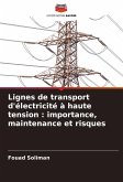 Lignes de transport d'électricité à haute tension : importance, maintenance et risques