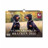 Schwarzwildbracken 2026 Schwarzwildbracken 2026