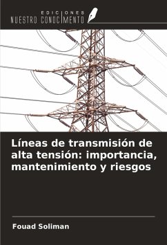 Cover Líneas de transmisión de alta tensión: importancia, mantenimiento y riesgos