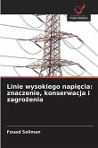 Linie wysokiego napi¿cia: znaczenie, konserwacja i zagro¿enia