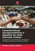 Características socioeconómicas e desafios do setor informal urbano