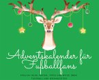 Adventskalender für Fußballfans Adventskalender für Fußballfans
