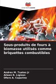 Sous-produits de fours à biomasse utilisés comme briquettes combustibles Sous-produits de fours à biomasse utilisés comme briquettes combustibles