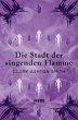 Die Stadt der singenden Flamme - Bild 1