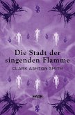 Die Stadt der singenden Flamme