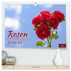 Rosen, Liebe ist (hochwertiger Premium Wandkalender 2026 DIN A2 quer), Kunstdruck in Hochglanz - Calvendo;Plett, Rainer