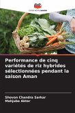 Performance de cinq variétés de riz hybrides sélectionnées pendant la saison Aman