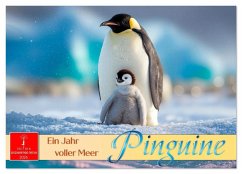 Cover Pinguine - ein Jahr voller Meer (Wandkalender 2026 DIN A4 quer), CALVENDO Monatskalender