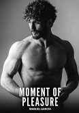 Moment of Pleasure