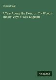 A Year Among the Trees; or, The Woods and By-Ways of New England