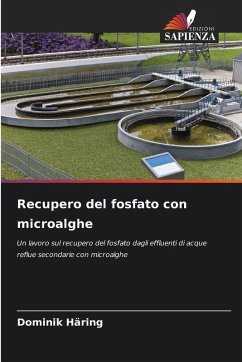 Recupero del fosfato con microalghe Cover Recupero del fosfato con microalghe