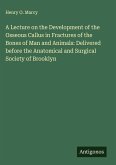 A Lecture on the Development of the Osseous Callus in Fractures of the Bones of Man and Animals: Delivered before the Anatomical and Surgical Society of Brooklyn