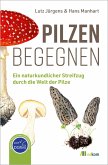 Pilzen begegnen Pilzen begegnen