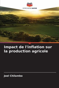 Impact de l'inflation sur la production agricole - Chilambo, Joel Impact de l'inflation sur la production agricole - Chilambo, Joel