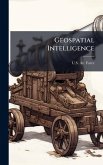 Geospatial Intelligence