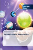 Domestic Social Responsibility