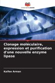Clonage moléculaire, expression et purification d'une nouvelle enzyme lipase Clonage moléculaire, expression et purification d'une nouvelle enzyme lipase