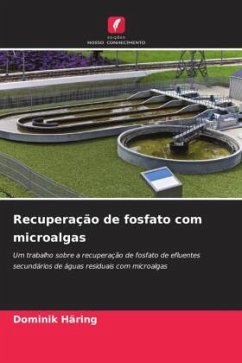 Cover Recuperação de fosfato com microalgas