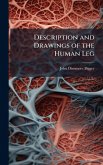 Description and Drawings of the Human Leg Description and Drawings of the Human Leg