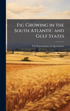 Cover Fig Growing in the South Atlantic and Gulf States