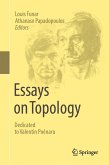 Essays on Topology (eBook, PDF)