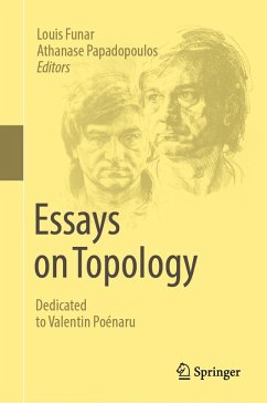 Cover Essays on Topology (eBook, PDF)