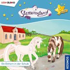 Ein Einhorn in der Schule (MP3-Download)